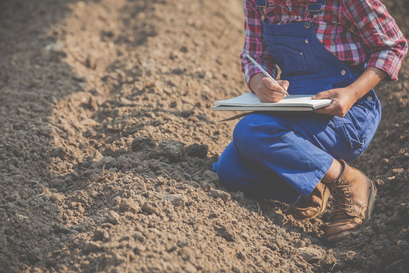 Проект рекультивации нарушенных земель